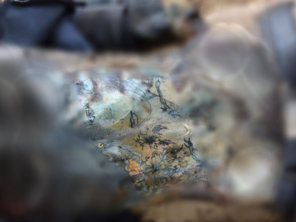 Hải Phòng: Công an phát thông báo tìm nhân thân nam thanh niên tử vong, trên ngực có hình xăm cô gái cầm hoa