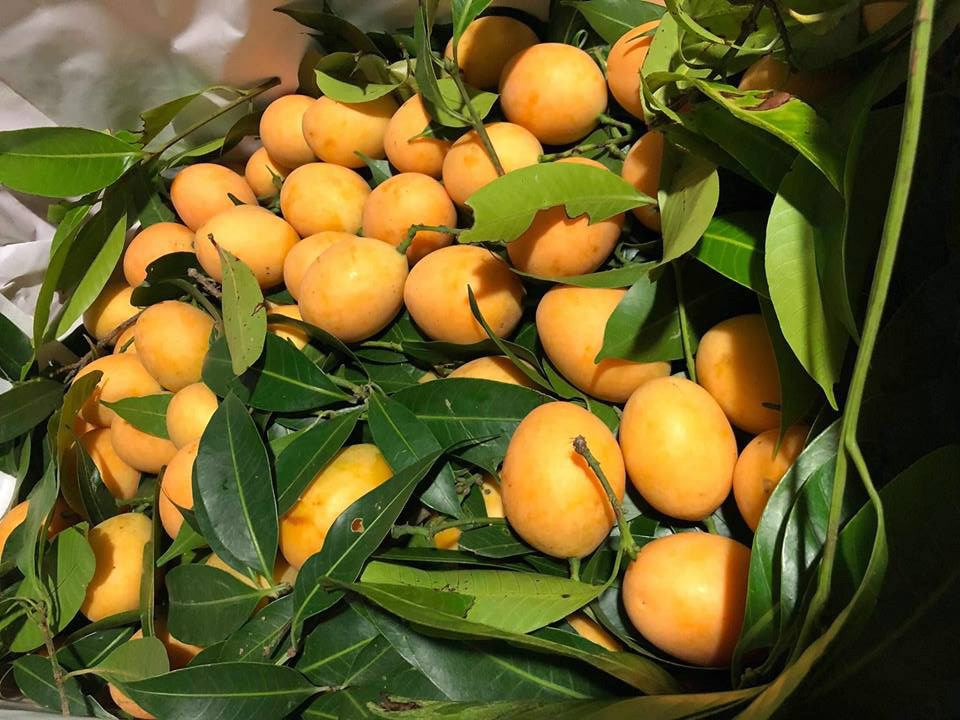 Kỳ lạ loại quả ăn vặt giá chát, chưa kịp về đã hết hàng