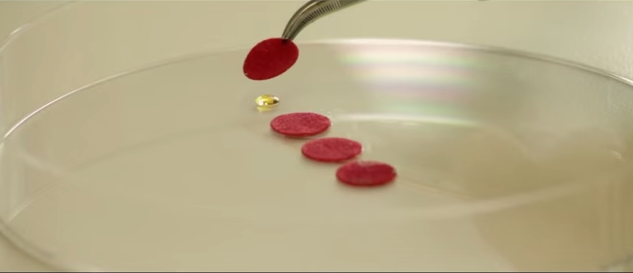 Chấm đỏ trên trán phụ nữ Ấn Độ có thể cứu người