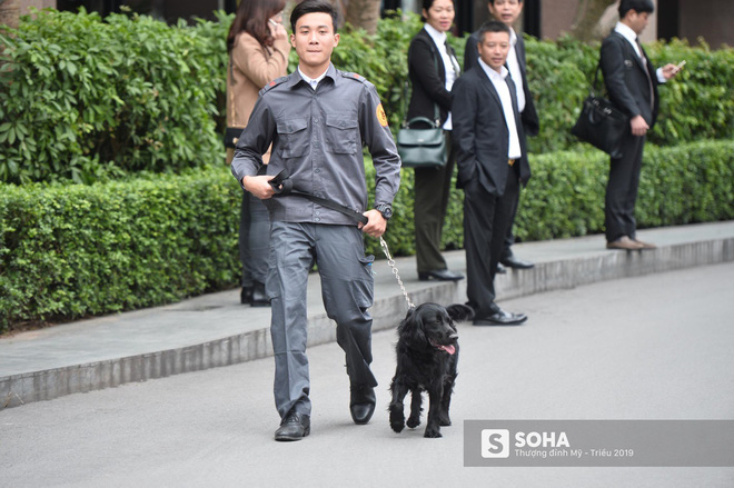 Cảnh khuyển đặc biệt của Việt Nam rà soát chất nổ ở Melia, thân thiện hết cỡ với du khách