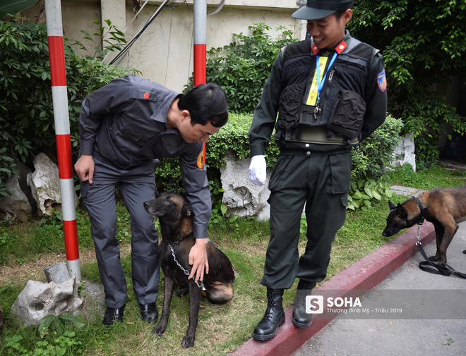 Cảnh khuyển đặc biệt của Việt Nam rà soát chất nổ ở Melia, thân thiện hết cỡ với du khách