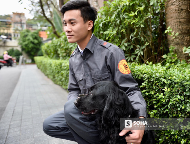 Cảnh khuyển đặc biệt của Việt Nam rà soát chất nổ ở Melia, thân thiện hết cỡ với du khách