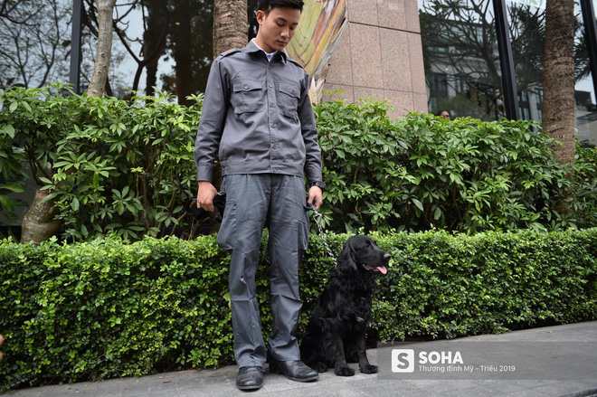 Cảnh khuyển đặc biệt của Việt Nam rà soát chất nổ ở Melia, thân thiện hết cỡ với du khách