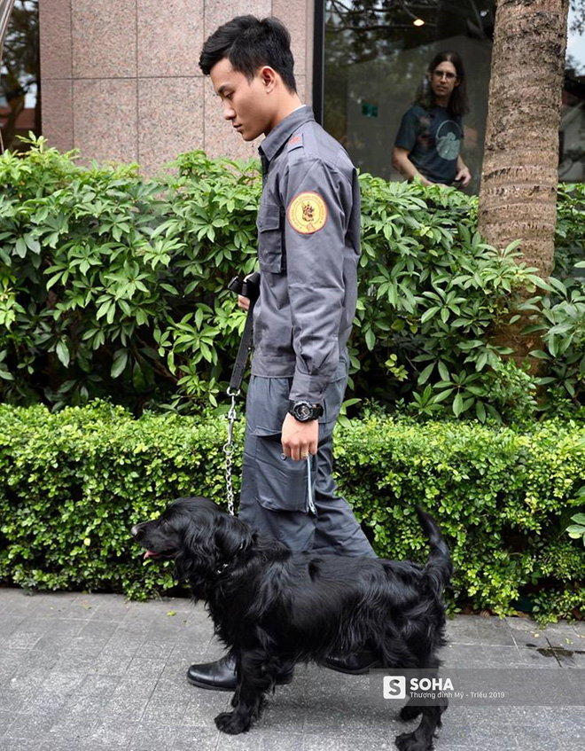 Cảnh khuyển đặc biệt của Việt Nam rà soát chất nổ ở Melia, thân thiện hết cỡ với du khách