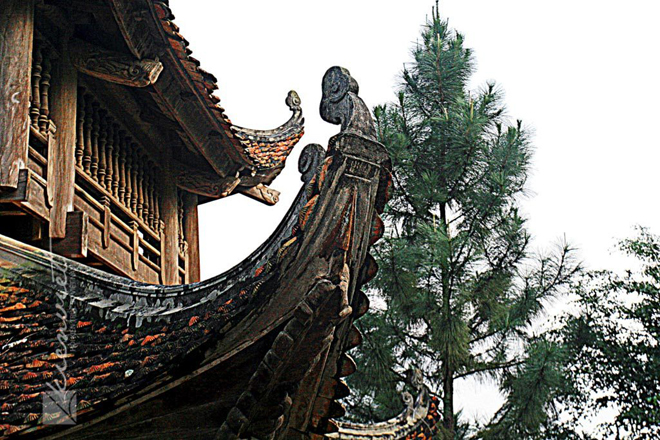 Dâng sao giải hạn và những lệch lạc cần loại bỏ