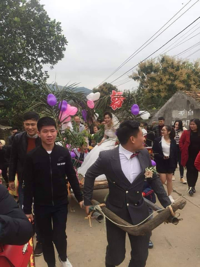 Người đàn ông tự tay kéo xe bò, rước vợ về nhà trong đám cưới khiến dân mạng tấm tắc khen