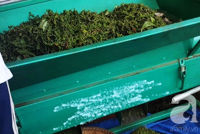 Đang chạy chơi trong nhà, bé gái 10 tuổi bị cuốn tóc vào máy xay tiêu lóc nát da đầu