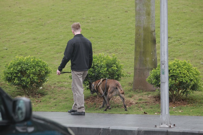 Chó nghiệp vụ Mỹ rà mọi ngóc ngách quanh khách sạn Marriott