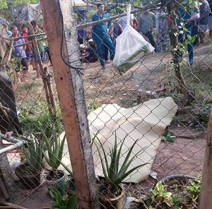 Thực hư thông tin 2 cô gái trẻ thương vong do bị CSGT truy đuổi ở Sài Gòn