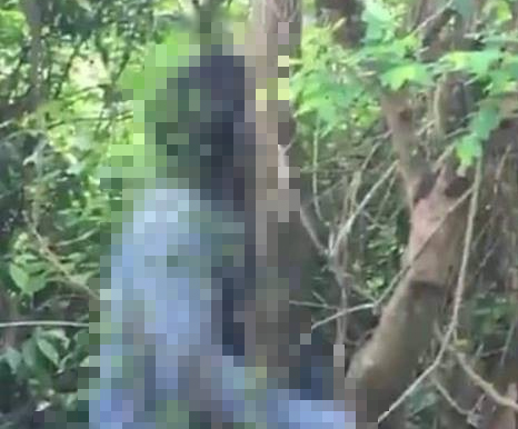 Ninh Bình: Phát hiện người đàn ông tử vong trong tư thế treo cổ ở nghĩa địa