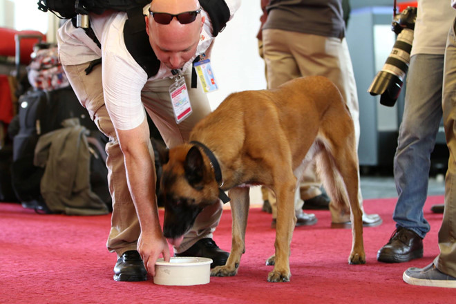 Thượng đỉnh Mỹ - Triều: Chó nghiệp vụ mang sang bảo vệ Tổng thống Mỹ như thế nào?