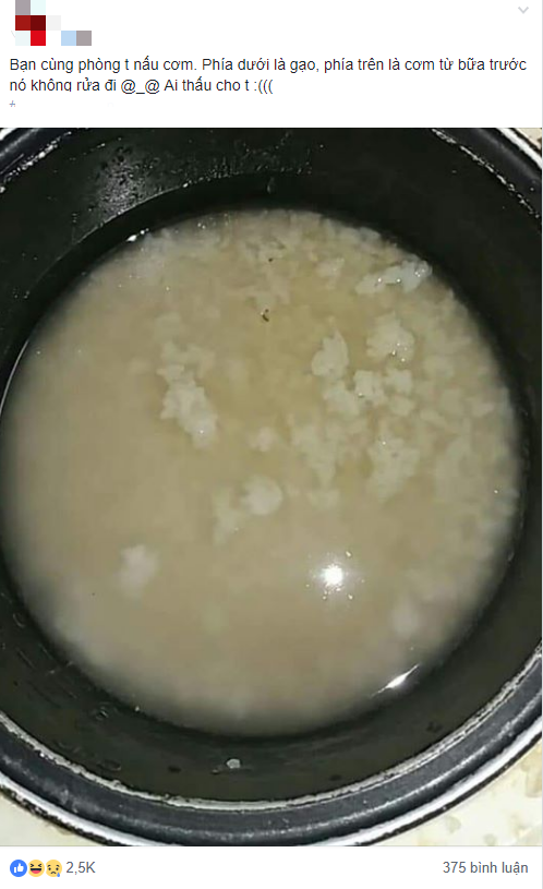 Nhìn chiếc nồi cơm điện gạo mới trộn lẫn với cơm cũ, váng mỡ nổi lềnh phềnh, dân mạng tò mò nhan sắc nữ chủ nhân Nhìn chiếc nồi cơm điện gạo mới trộn lẫn với cơm cũ, váng mỡ nổi lềnh phềnh, dân mạng tò mò nhan sắc nữ chủ nhân