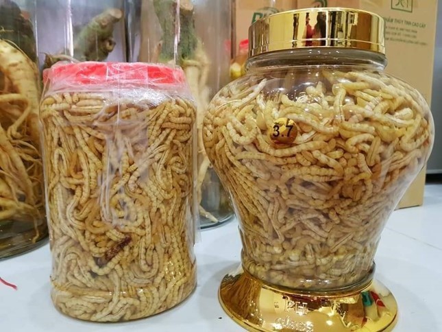 Sâu chít giá tiền triệu được các bà nội trợ đua nhau mua ăn để đẹp da