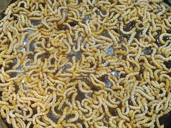 Sâu chít giá tiền triệu được các bà nội trợ đua nhau mua ăn để đẹp da
