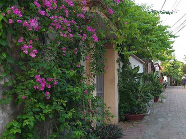 Cảnh khó tin trong phòng tân hôn khiến cô dâu ngất lịm