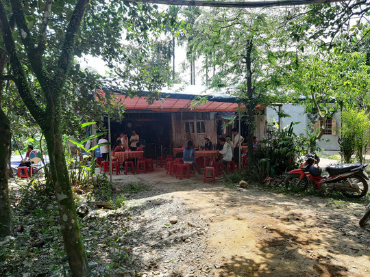 Đi lấy mật, chủ tịch hội chữ thập đỏ bị ong đốt chết