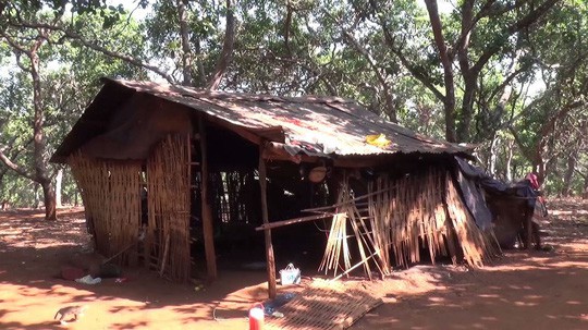 Sang nhà hàng xóm ăn trái cây, bé 4 tuổi bỗng tử vong