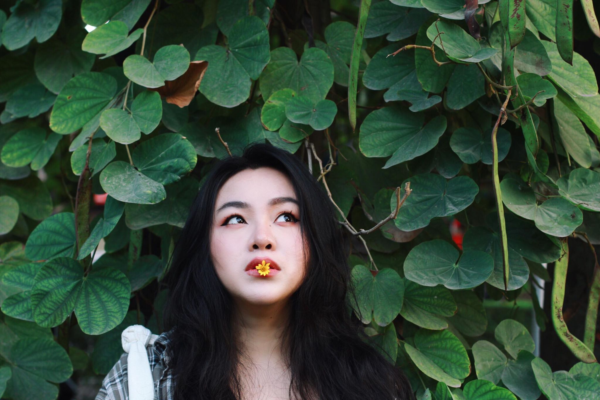 Cuộc sống sẽ dễ thở hơn rất nhiều khi có một người bạn vừa có tâm lại thông thạo cả việc chụp ảnh, chỉnh ảnh như thế này