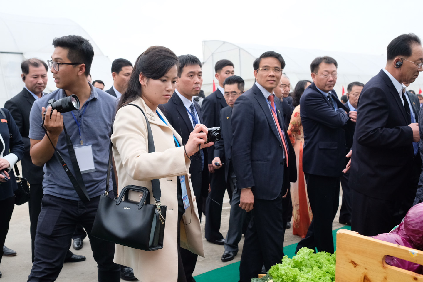 Phái đoàn Triều Tiên thăm nhà máy xe hơi, nông trường ở Hải Phòng