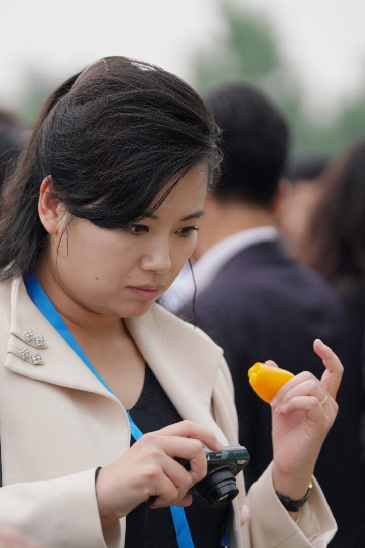 Phái đoàn Triều Tiên thăm nhà máy xe hơi, nông trường ở Hải Phòng