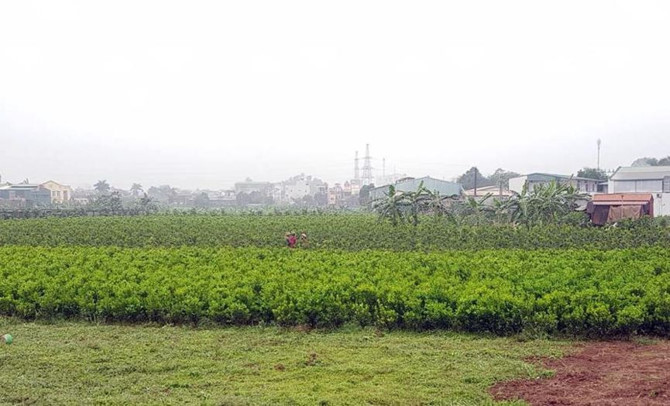 Khu đất của AVG trong thương vụ nghìn tỷ với Mobifone giờ ra sao?