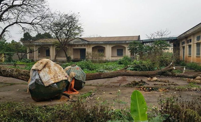 Khu đất của AVG trong thương vụ nghìn tỷ với Mobifone giờ ra sao?