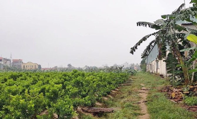 Khu đất của AVG trong thương vụ nghìn tỷ với Mobifone giờ ra sao?