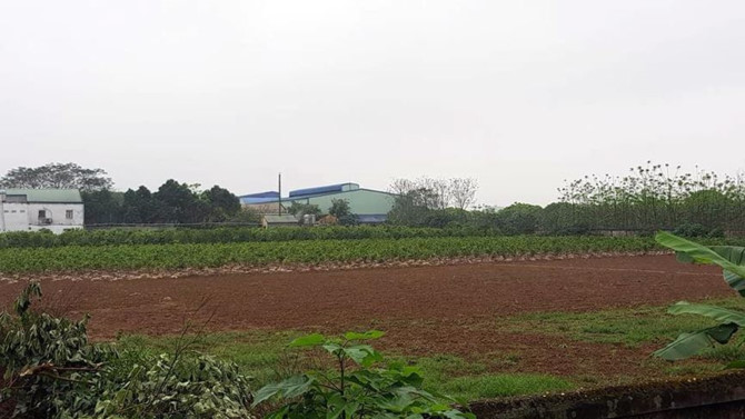 Khu đất của AVG trong thương vụ nghìn tỷ với Mobifone giờ ra sao?