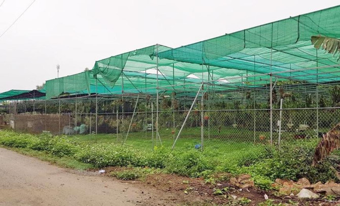 Khu đất của AVG trong thương vụ nghìn tỷ với Mobifone giờ ra sao?