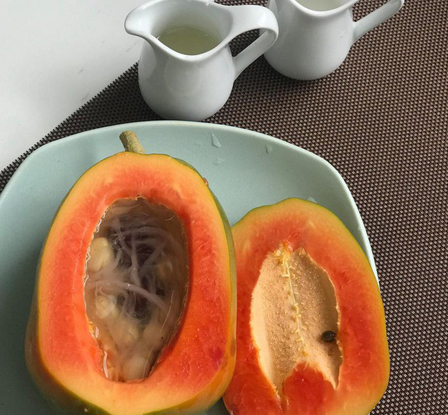 Tiết lộ thực đơn bữa trưa tại Hà Nội của đoàn nữ ca sỹ quyền lực nhất Triều Tiên