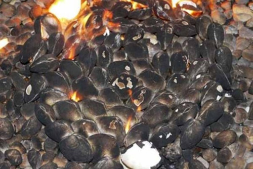 Nghêu nướng xăng - đặc sản Triều Tiên ngon khó cưỡng