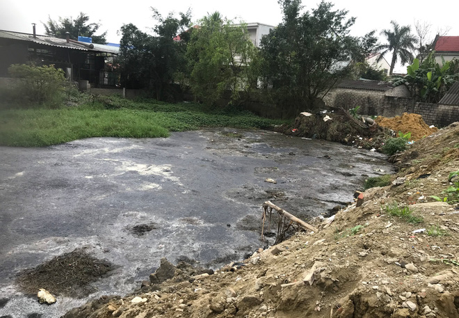 Quơ tay nắm được cả chục con ruồi, dân vây lò mổ lợn