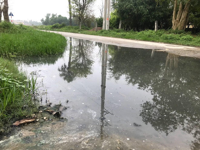 Quơ tay nắm được cả chục con ruồi, dân vây lò mổ lợn