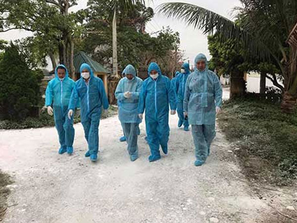 Dịch tả lợn châu Phi lan ra 6 tỉnh: Đàn lợn 26 triệu con bị đe dọa