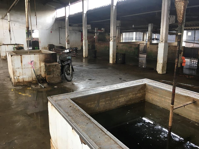 Đóng cửa lò giết mổ gia súc lớn nhất TP Vinh