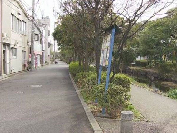 Bắt vịt bơi ở công viên ăn, thực tập sinh người Việt bị cảnh sát Nhật điều tra