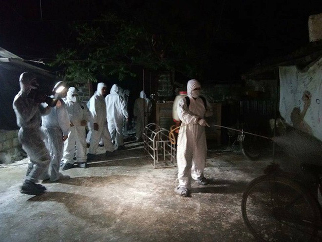 Hải Dương khẩn trương tiêu huỷ gần 200 con lợn mắc dịch tả lợn Châu Phi