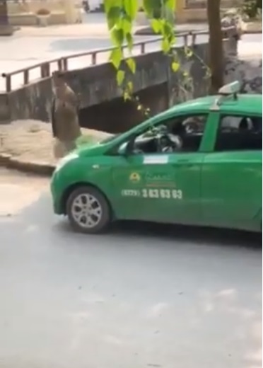 Muốn quỵt 700 nghìn tiền taxi, cụ già giở quẻ ở cửa nhà và cách giải quyết gây bức xúc