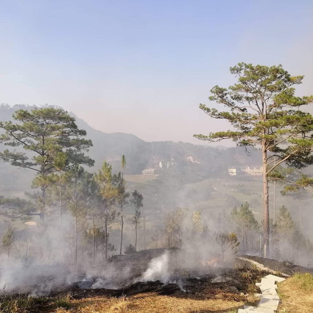 Homestay nổi tiếng nhất nhì ở Đà Lạt bị cháy lớn, nhiều du khách hoảng loạn