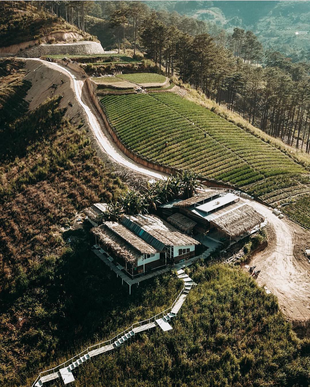 Homestay nổi tiếng nhất nhì ở Đà Lạt bị cháy lớn, nhiều du khách hoảng loạn