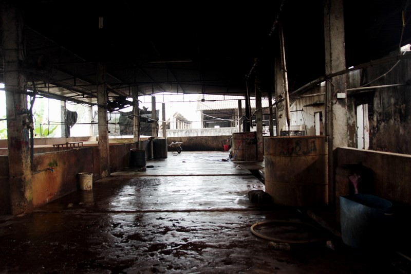 Nghệ An: Đóng cửa lò mổ trong khu dân cư khiến người dân khốn khổ vì ô nhiễm