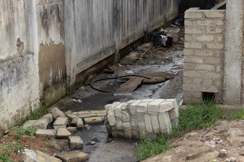 Nghệ An: Đóng cửa lò mổ trong khu dân cư khiến người dân khốn khổ vì ô nhiễm