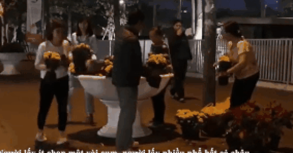 Xôn xao clip người dân lấy hoa trang trí sau Thượng đỉnh Mỹ-Triều: Sẽ cho kiểm tra