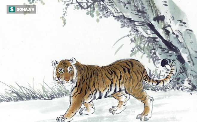 Năm Kỷ Hợi có 3 con giáp có hạn về tiền bạc, song sẽ được hóa giải nếu tìm được quý nhân