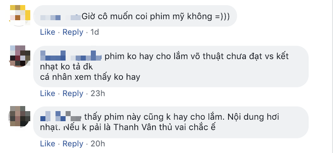 Chiêu cao của Ngô Thanh Vân: Điều gì ẩn sau vụ Hai Phượng vươn ra Hollywood nhưng nhiều fan Việt vẫn chê dở?