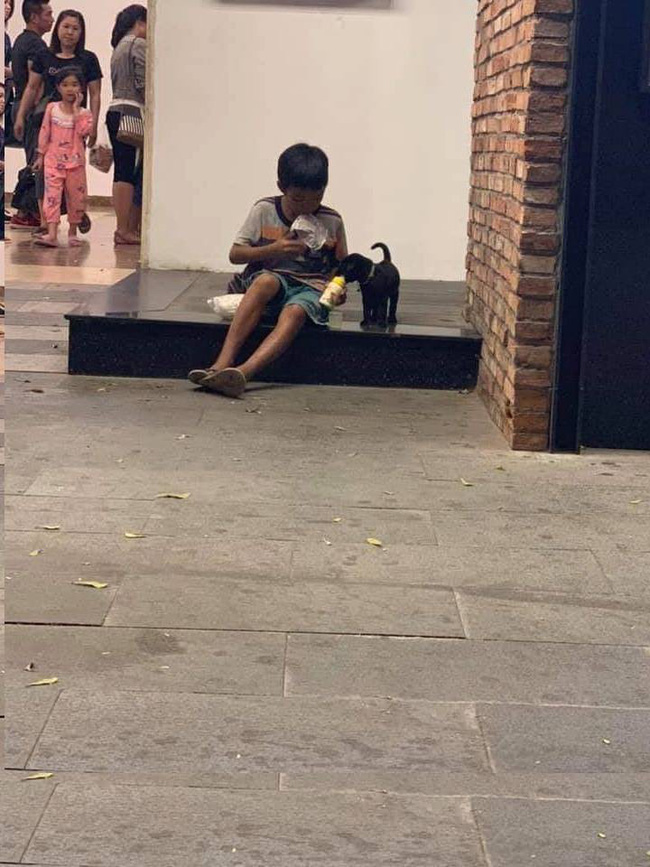 Câu chuyện về cậu bé đường phố chia sữa cho chú chó nhỏ khiến dân mạng suy ngẫm về giá trị của tình yêu thương