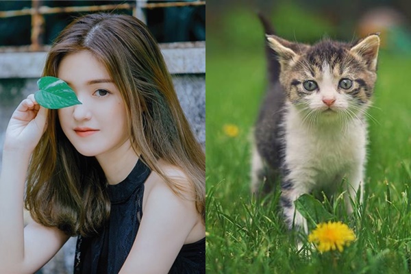 Tháng 3 vừa đến, 3 con giáp này lập tức có TIỀN CHẠY VÀO TÚI, tài vận lên hương, tha hồ ăn lộc