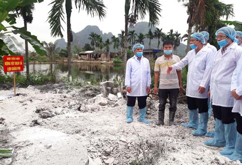 Đề xuất kiểm soát việc chuyển lợn từ Bắc vào Nam để ngăn dịch