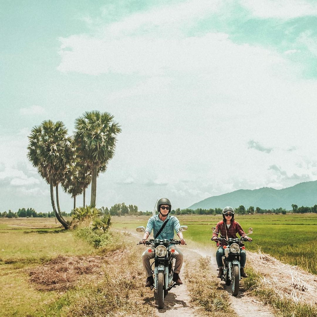 Vẻ đẹp cây thốt nốt trái tim ở An Giang trước khi bị chặt lá