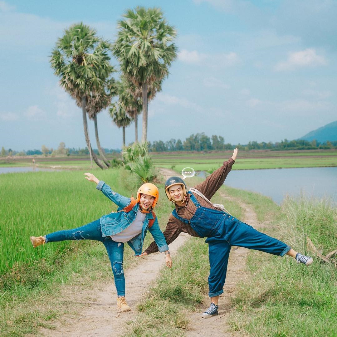 Vẻ đẹp cây thốt nốt trái tim ở An Giang trước khi bị chặt lá